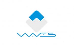 ウェーブス(Waves)